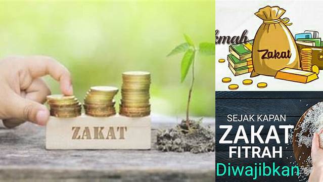 Hikmah Membayar Zakat