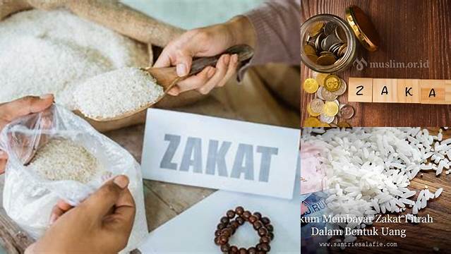 Hukum Membayar Zakat