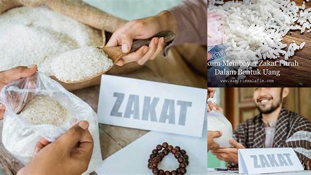 Hukum Membayar Zakat Adalah