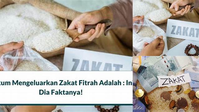 Hukum Mengeluarkan Zakat Adalah