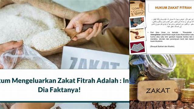 Hukum Mengeluarkan Zakat Fitrah