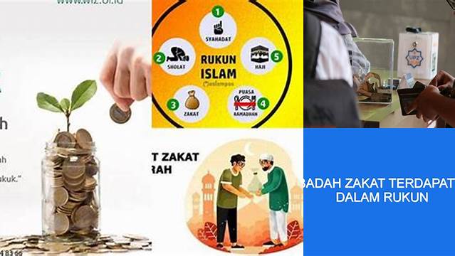 Ibadah Zakat Terdapat Di Dalam Rukun