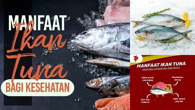 Temukan Manfaat Ikan Tuna yang Jarang Diketahui