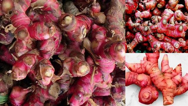 Manfaat Jahe Merah yang Jarang Diketahui, Wajib Anda Ketahui!