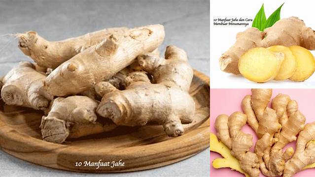 Temukan Manfaat Jahe Putih yang Jarang Diketahui