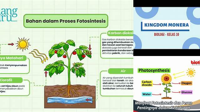 Temukan 5 Manfaat Fotosintesis Bakteri Halofil yang Jarang Diketahui