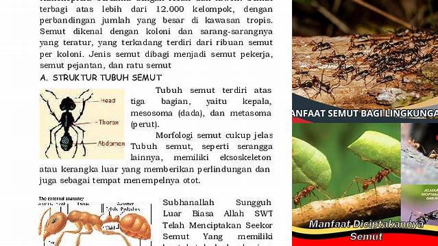 Temukan Manfaat Semut yang Jarang Diketahui
