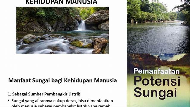 Ungkap 101 Manfaat Sungai yang Jarang Diketahui