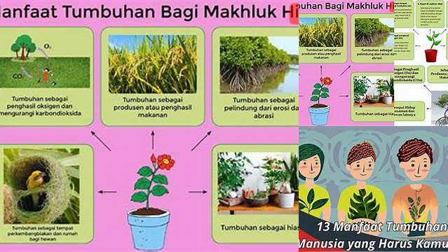 Temukan Rahasia Manfaat Tumbuhan yang Belum Diketahui