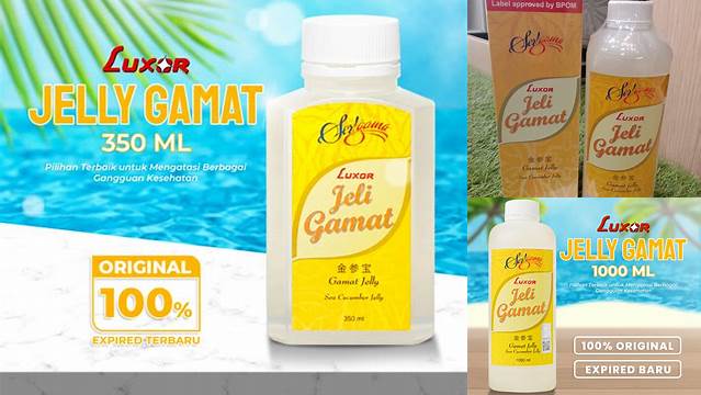 5 Manfaat Jelly Gamat Luxor yang Jarang Diketahui