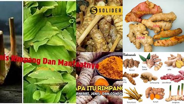 Temukan Manfaat Jenis Rimpang yang Jarang Diketahui
