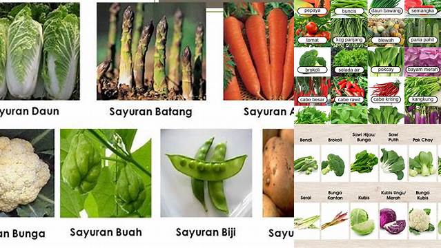 Temukan Ragam Manfaat Sayuran Akar yang Jarang Diketahui