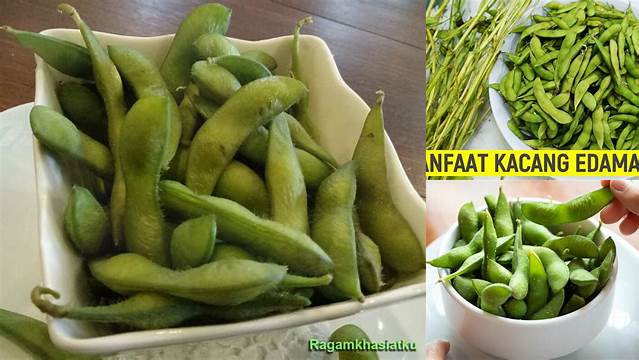 Temukan Manfaat Kacang Edamame yang Jarang Diketahui