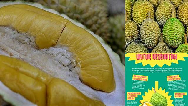 Ungkap Manfaat Buah Durian yang Jarang Diketahui, Wajib Kamu Tau!