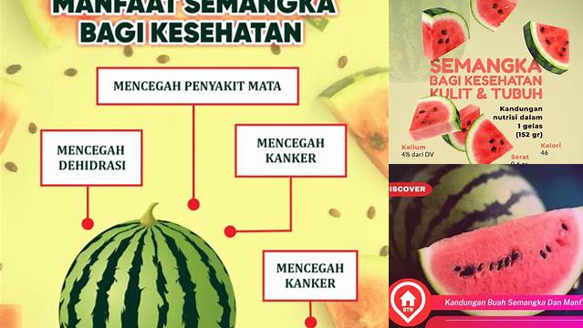 Cari Rahasia Buah Semangka Yang Jarang Diketahui!
