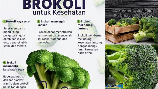 Kandungan dan Manfaat Brokoli yang Jarang Diketahui, Wajib Baca!
