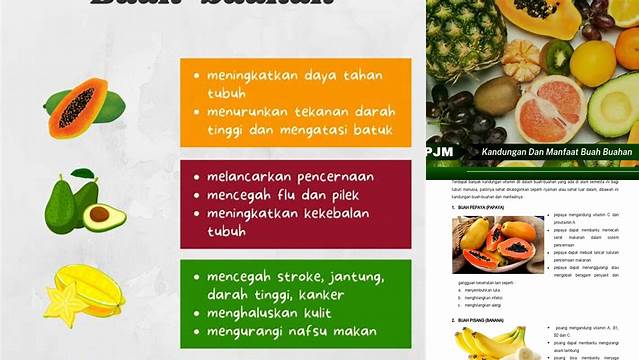 Temukan Manfaat Buah yang Jarang Diketahui, Dijamin Bikin Penasaran!
