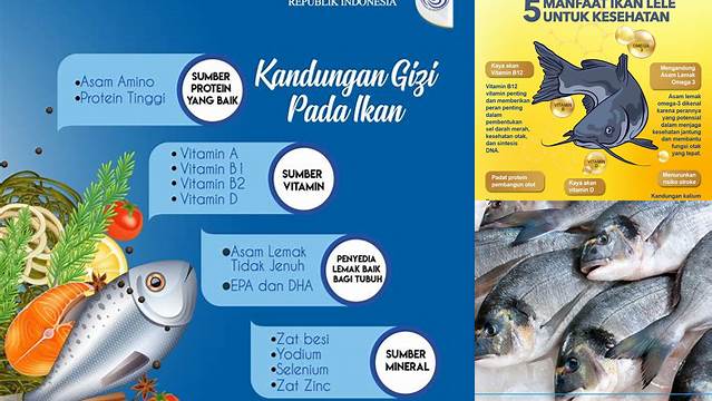 Manfaat Kandungan Seng dalam Ikan yang Jarang Diketahui