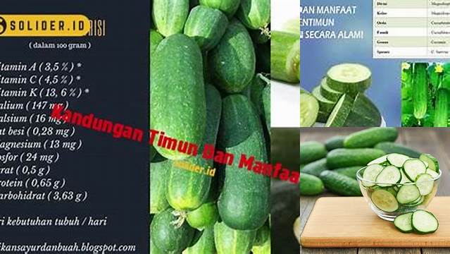 Manfaat Timun Tak Terduga yang Jarang Diketahui