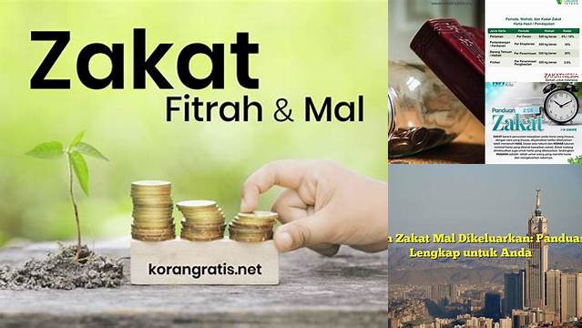 Kapan Zakat Mal Dikeluarkan