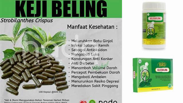 Temukan Manfaat Kapsul Keji Beling yang Jarang Diketahui