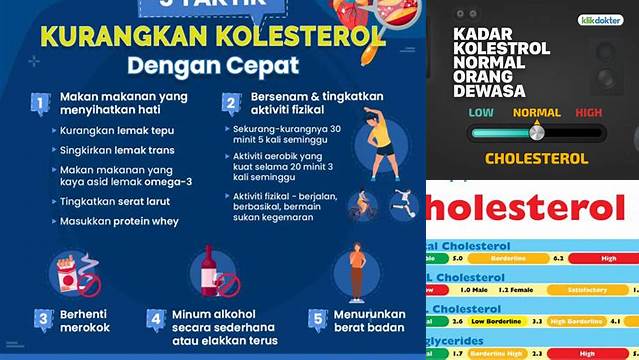 Kolesterol Puasa Normal