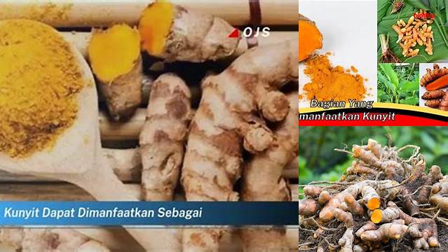 10 Khasiat Kunyit yang Wajib Anda Ketahui