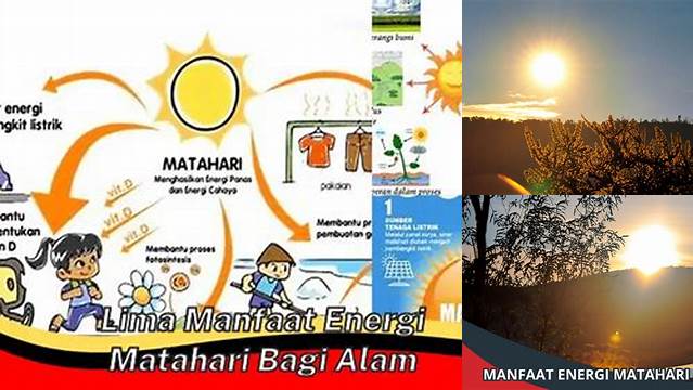 Temukan 5 Manfaat Energi Matahari bagi Alam yang Jarang Diketahui