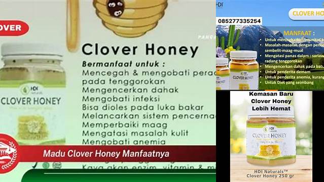 Temukan Manfaat Madu Clover Honey yang Jarang Diketahui