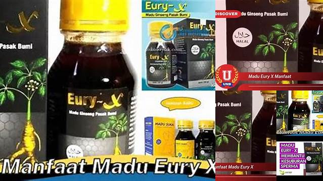 Temukan 5 Manfaat Madu Eury X yang Jarang Diketahui