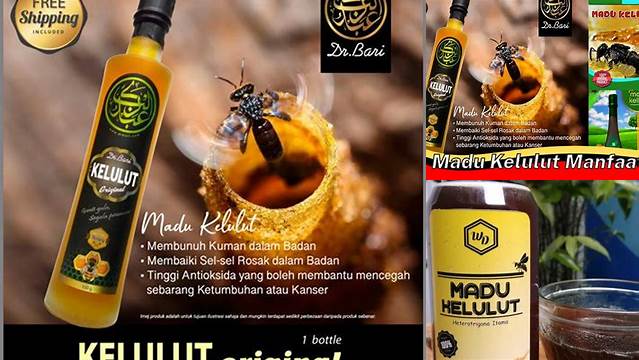 5 Manfaat Madu Kelulut yang Jarang Diketahui