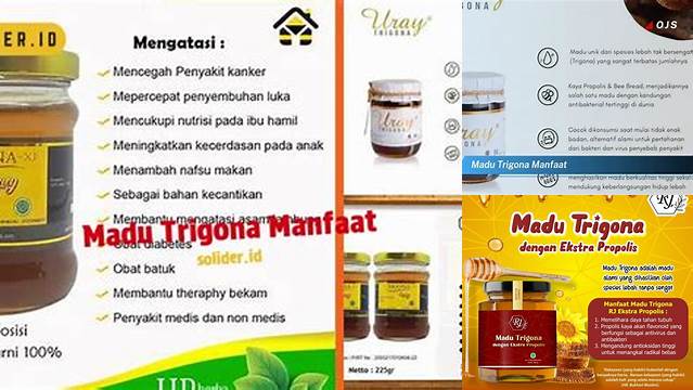 Temukan Manfaat Madu Trigona yang Belum Diketahui