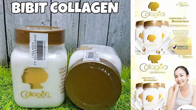 Temukan 10 Manfaat Bibit Collagen yang Jarang Diketahui