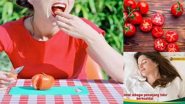 Temukan Manfaat Makan Tomat Sebelum Tidur yang Jarang Diketahui