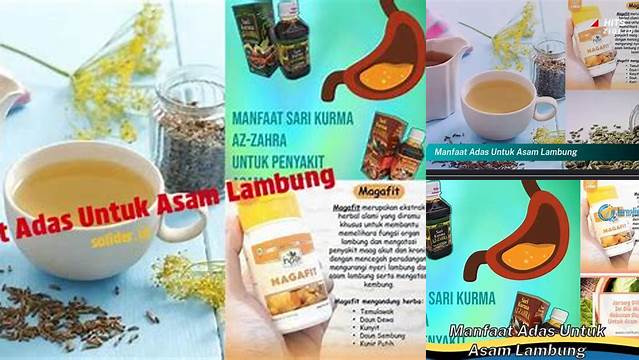 Temukan Rahasia: Manfaat Adas untuk Asam Lambung yang Jarang Diketahui