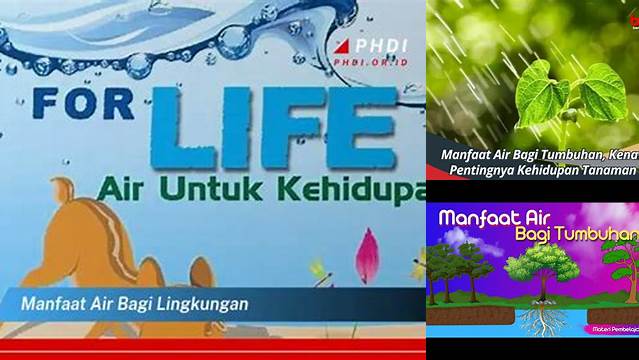 10 Manfaat manfaat air bagi lingkungan hidup sehat lestari
