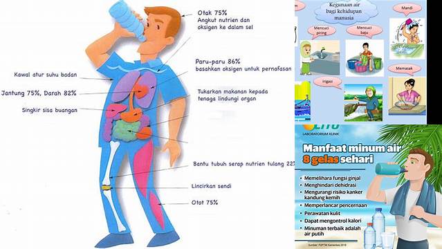 Manfaat Air bagi Manusia yang Jarang Diketahui, Wajib Anda Tahu!