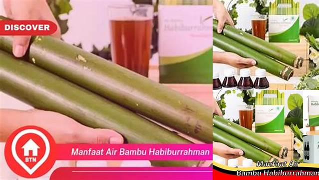 Temukan Manfaat Air Bambu Habiburrahman yang Jarang Diketahui