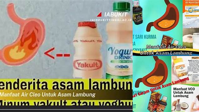 9 Manfaat manfaat air cleo untuk asam lambung Redakan dengan Cepat dan Alami