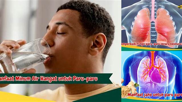 8 Manfaat Air Embun untuk Paru Paru, Fakta Terungkap!