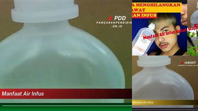 8 Manfaat Air Infus untuk Kesehatan, Kecantikan, dan Diet Anda