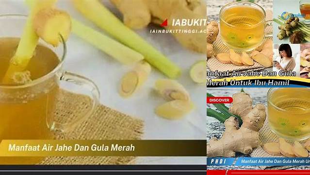 8 Manfaat Air Jahe Merah Ungkap Rahasia Kesehatan Alami