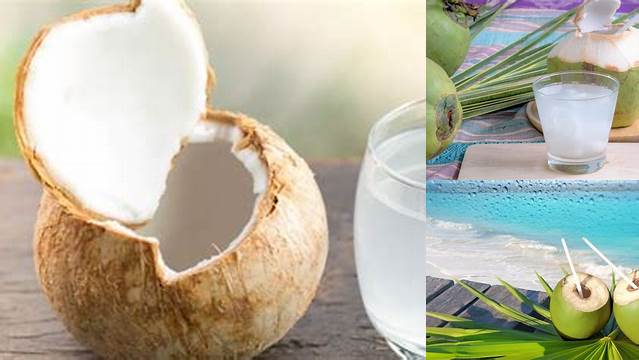 8 Manfaat manfaat air kelapa bagi tubuh Segar Bugar Alami Setiap Hari
