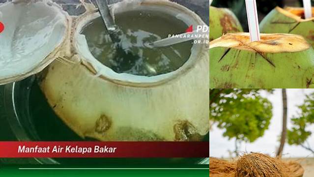 Temukan 7 Manfaat Air Kelapa Bakar yang Jarang Diketahui