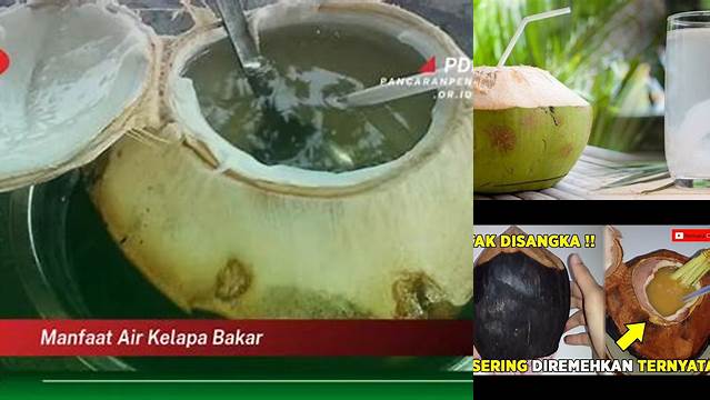 9 Manfaat Air Kelapa Bakar untuk Ginjal Temukan Khasiatnya Sekarang!
