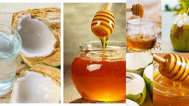 10 Manfaat manfaat air kelapa dan madu untuk kesehatan optimal
