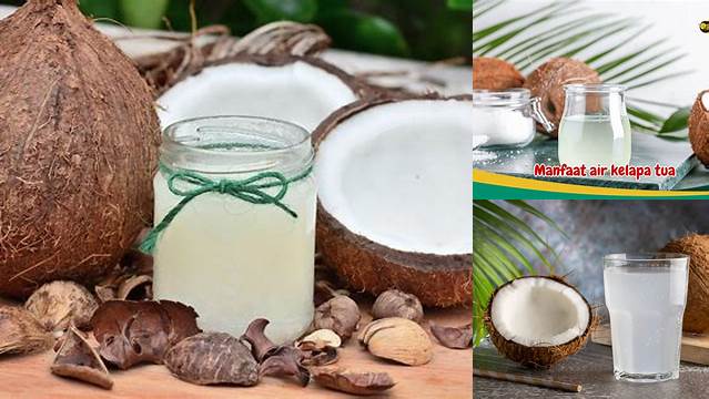 9 Manfaat manfaat air kelapa tua untuk kesehatan rahasia awet muda alami