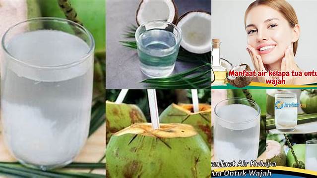 Temukan Manfaat Air Kelapa Tua untuk Wajah yang Jarang Diketahui