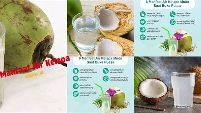 8 Manfaat manfaat air kelapa untuk rahim Rahasia Kesehatan Wanita