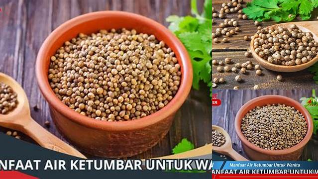 Temukan Rahasia Air Ketumbar untuk Wanita yang Jarang Orang Ketahui
